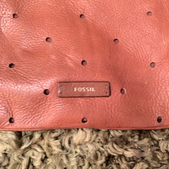 Fossils bag - Picture 3 of 4